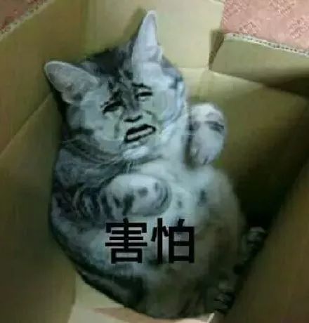 DƬ